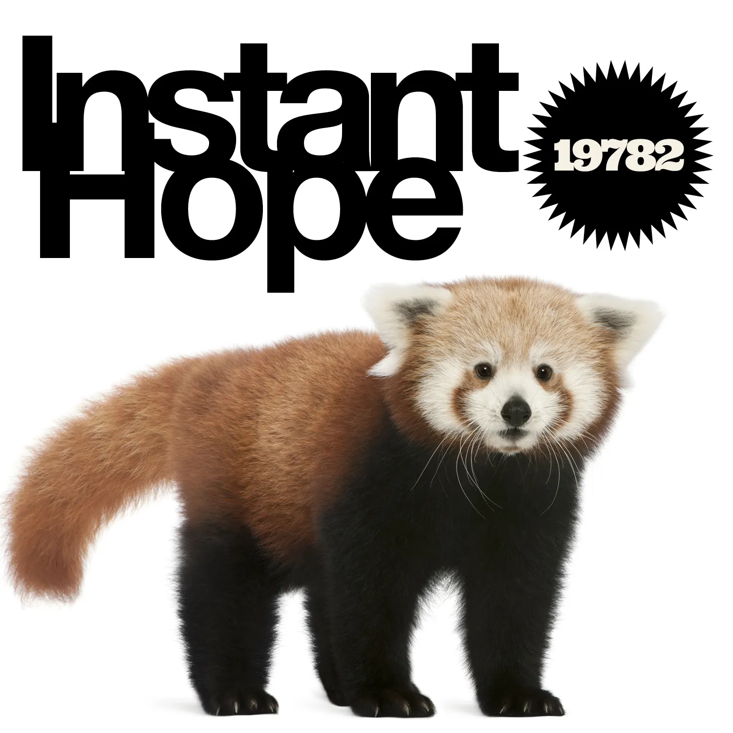 instant hope – 19782