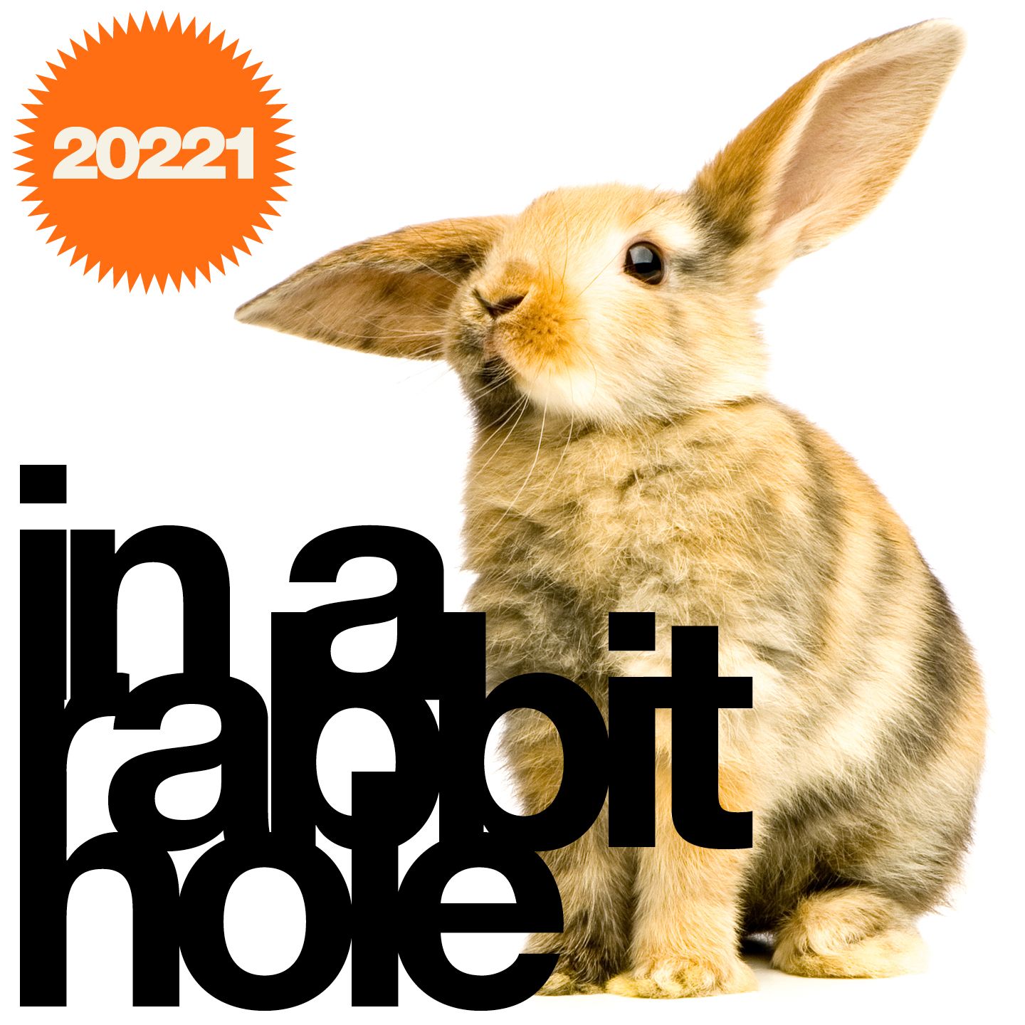 in a rabbit hole – 20221